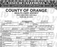 Death-Certificate_Johnson[1]